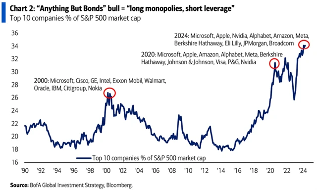 S&P 500 - váha 10 největších titulů