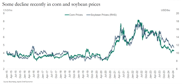 Kukuřice a sójové boby zlevňují