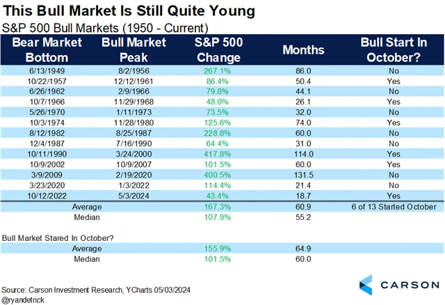 S&P 500 - mladý býk