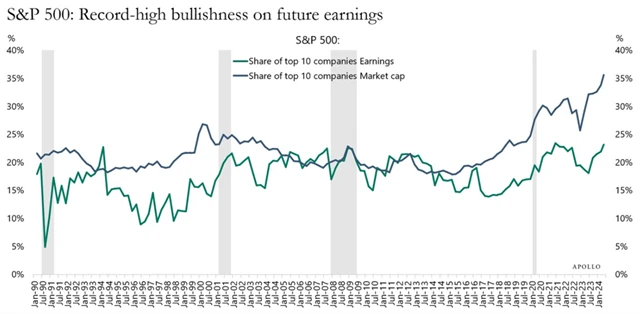 S&P 500 - váha 10 největších firem a jejich podíl na celkovém zisku v rámci indexu