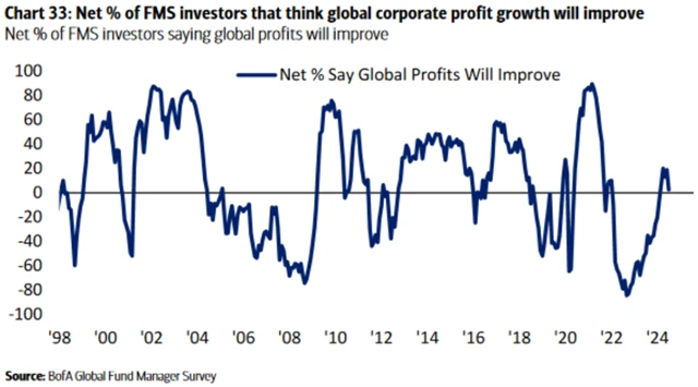 Očekávání vývoje zisků