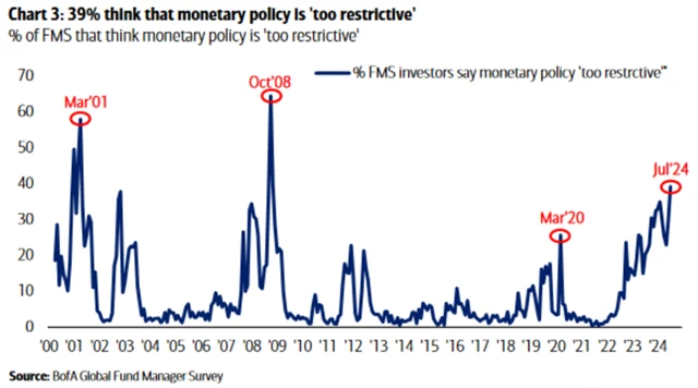 Názor na měnovou politiku