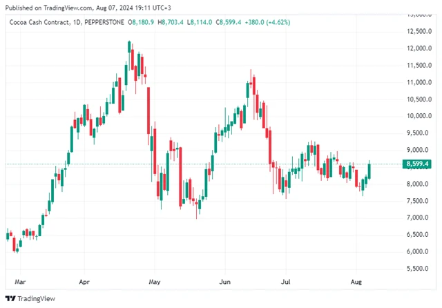 Cena tuny kakaových bobů, zdroj: TradingView