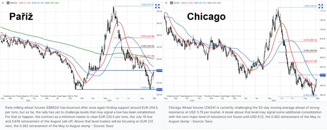 Ceny futures na dodávky pšenice