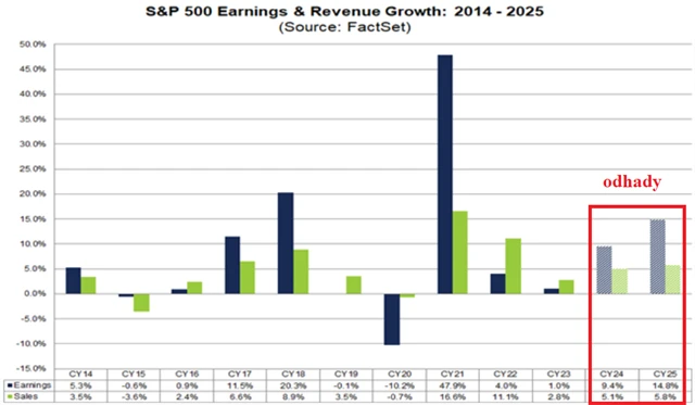 S&P 500 - vývoj zisků a tržeb v jednotlivých letech