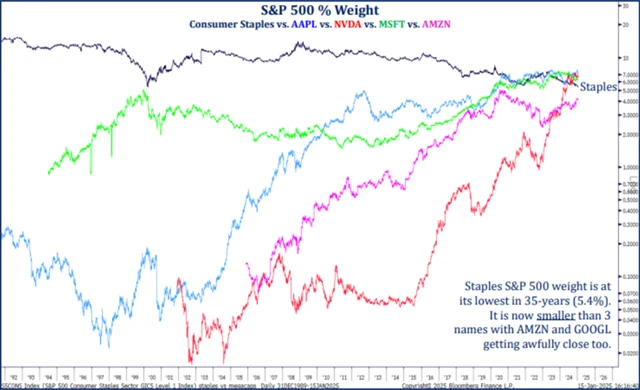 Srovnání váhy sektoru nezbytného spotřebního zboží a služeb v indexu S&P 500 a váhami největších technologických firem