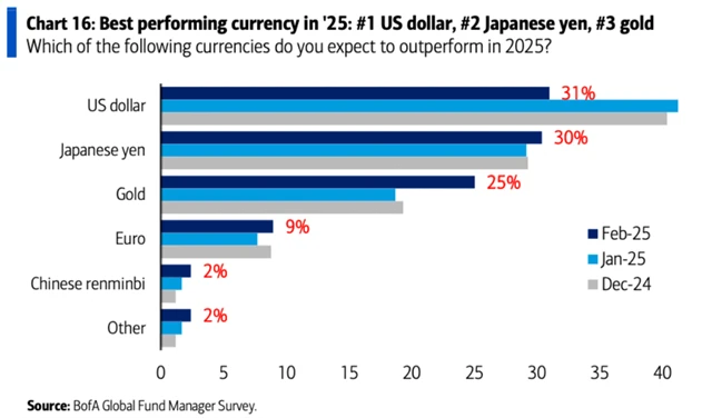 BoA FMS únor 2025 - tyto měny mají letos podle manažerů největší potenciál
