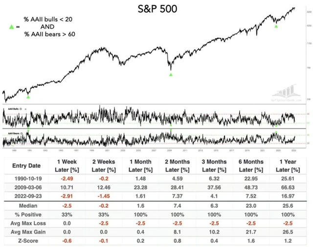 S&P 500 a průzkum AAII - největší rozdíly