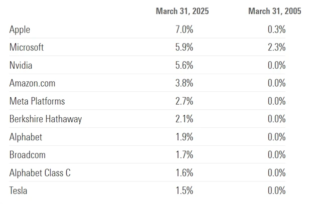 S&P 500 - 10 největších titulů v březnu 2025 a jejich váha v březnu 2005