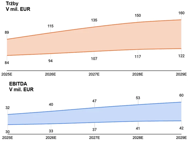 Výhled firmy pro pětileté období