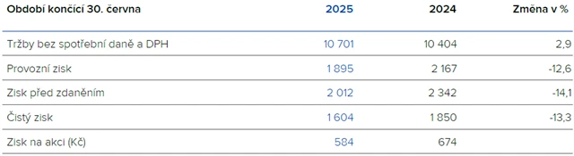 Pololetní hospodářské výsledky