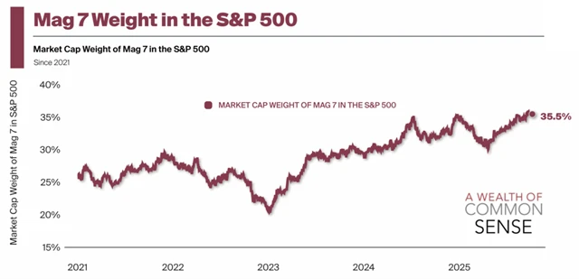 S&P 500 a váha akcií firem z úžasné sedmičky