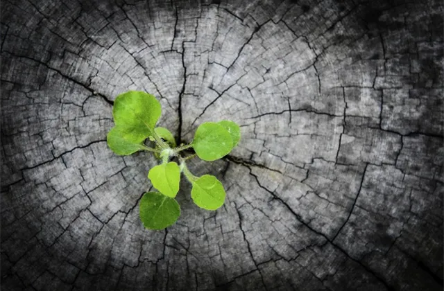 Bartoš (Credo Ventures): Startupy jako investice nejsou pro každého, z deseti projektů uspěje jeden