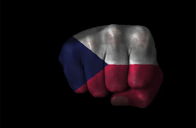 Moody's potvrdila Česku rating A1 se stabilním výhledem