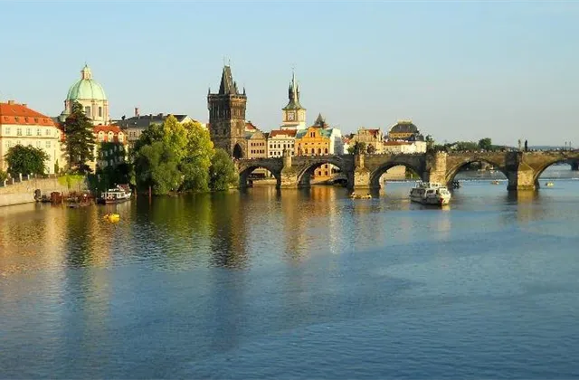 Českým poskytovatelům služeb loni stouply tržby o 1,2 %