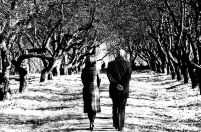 Investorský magazín: Doplňkové penzijní spoření v kostce a blázni z Wall Street