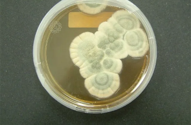 Chemie, které za mnohé vděčíme