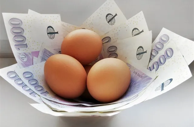 Investorský magazín: Jak investují Češi?