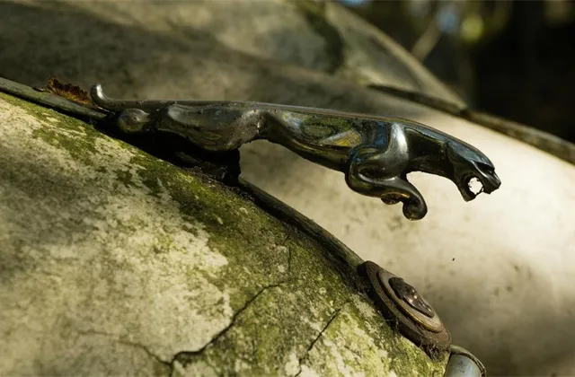 Jaguar vykázal ve čtvrtletí kvůli prudkému poklesu prodeje ztrátu