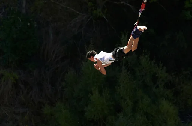 Co mají společného propady na akciovém trhu a operace slepého střeva?