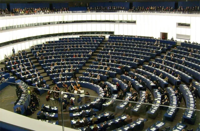 Volby do Evropského parlamentu jako černá labuť roku 2019?