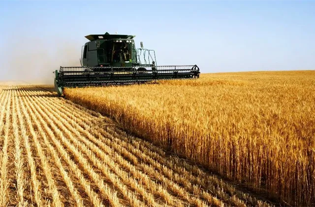 Investorský magazín: Co čeká (nejen) české zemědělství?