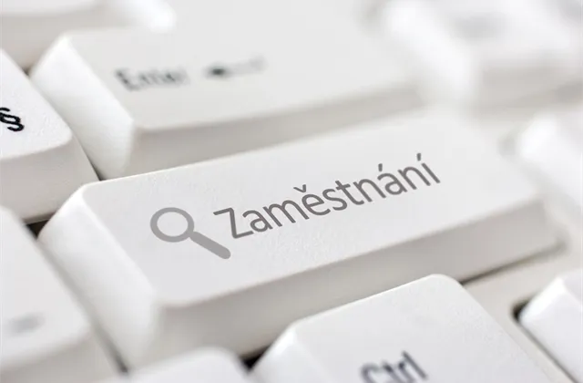 Kučera (Hays): Automatizace je pro firmy nevyhnutelná, pracovní místa se po příští krizi nemusejí obnovit