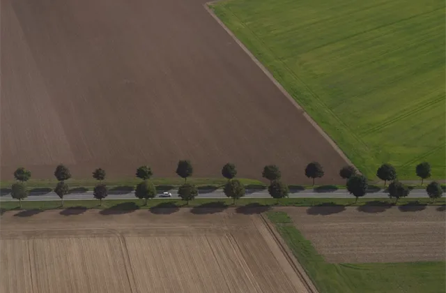 Singer: Zemědělská půda je stále nedoceněná a přehřátí realitního trhu není hrozbou pro finanční soustavu