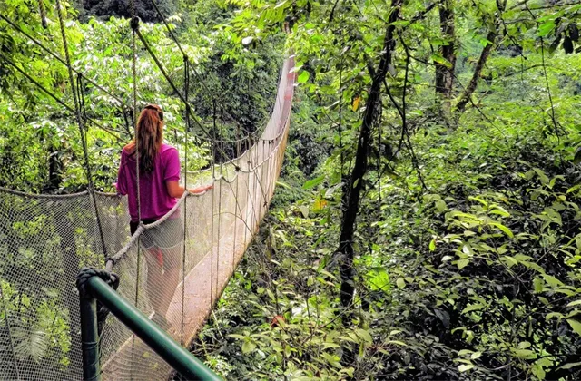 O libře a (ne)zajišťování kurzového rizika
