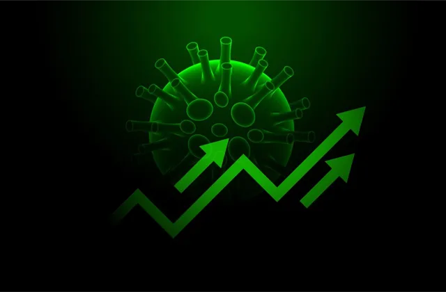 Rychlost oživení ekonomiky po pandemii bude záviset (i) na kvalitě zdravotnického systému, říká ekonom