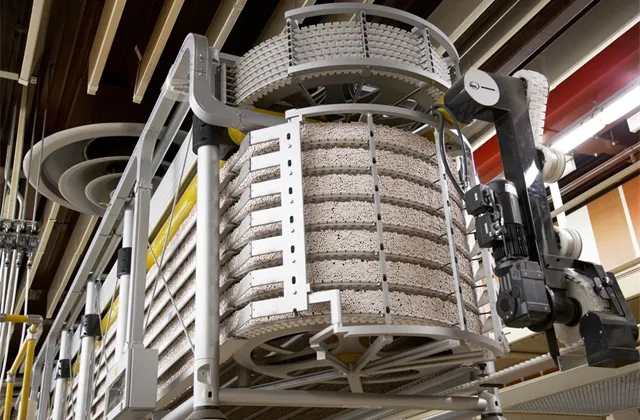 Tabákové společnosti Philip Morris ČR v prvním pololetí klesl zisk o 14,2 % na 1,7 miliardy korun