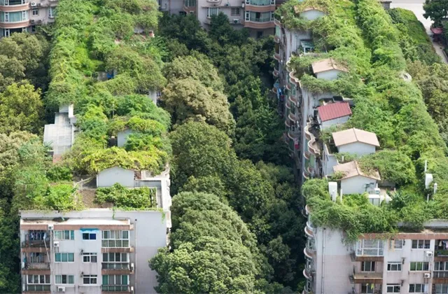 Společensky odpovědné investování je velký trend. S těmito dvěma fondy na něj vsadíte