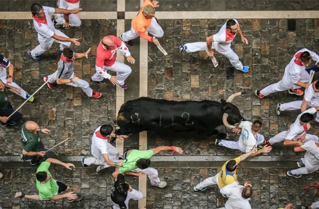 Týden na trzích podle burzovních grafů: Rekordní jízda pokračuje, index S&P 500 je nad 4 300