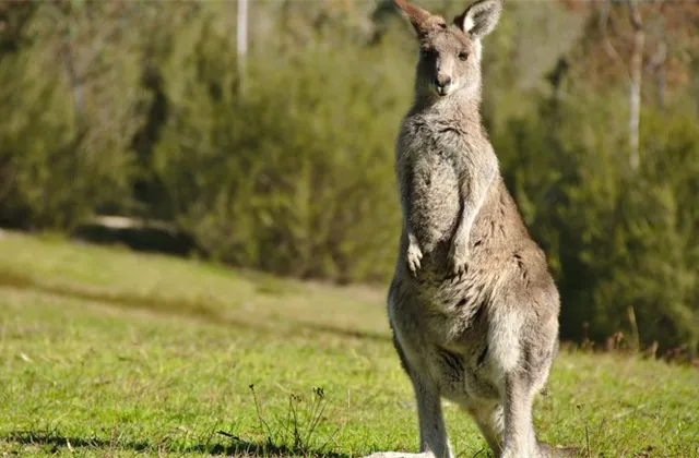 Co musíte ráno vědět (24. srpna 2021)