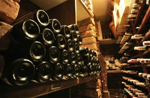 Český vinařský trh v kostce