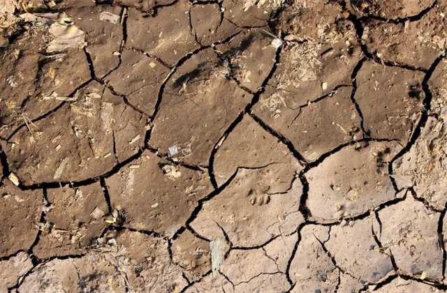 6 faktů, o kterých bojovníci proti globálnímu oteplování nechtějí ani slyšet