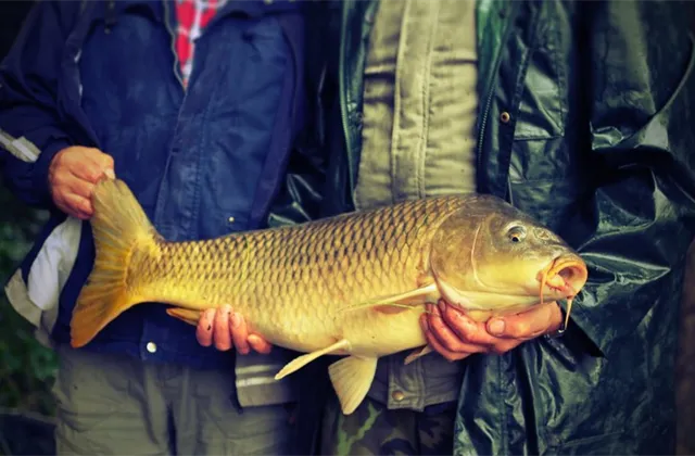 Co musíte ráno vědět (12. října 2021)