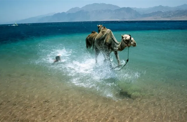 Co musíte ráno vědět (22. října 2021)