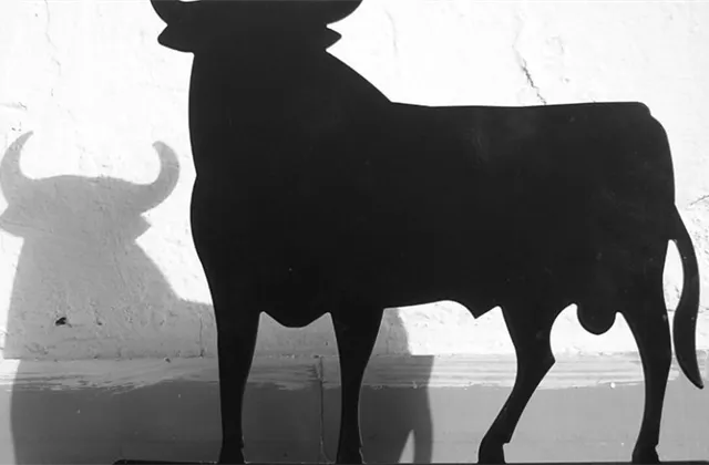 Týden na trzích podle burzovních grafů: Býci dominovali, nové zavírací maximum indexu S&P 500 je ale ještě potřeba potvrdit