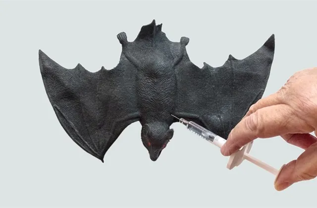 Co musíte ráno vědět (14.|prosince 2021)