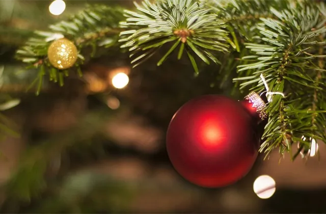 Co musíte dnes vědět (19. prosince): Peníze pod stromečkem potěší