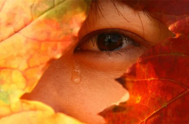 Co musíte ráno vědět (31.|prosince 2021)