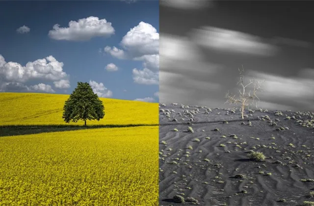 Co musíte ráno vědět (8.|února 2022)