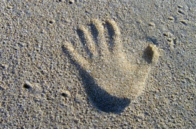 Jaroslav Brychta: Toto je mých pět rad investorům pro rok 2022