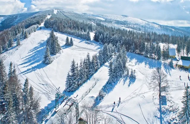 Společnosti TMR se v uplynulém finančním roce propadly tržby o 42 % na 63,5 milionu eur