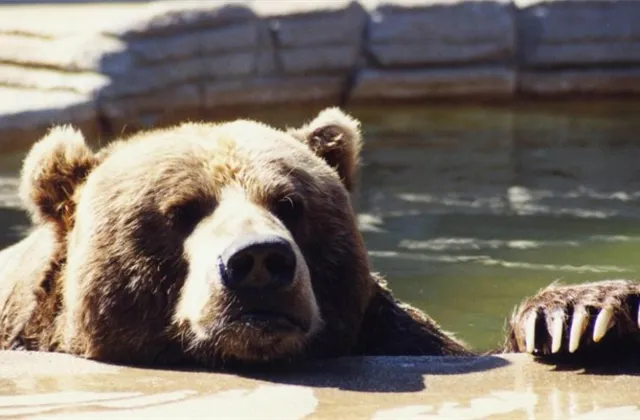 Týden na trzích podle burzovních grafů: Index S&P 500 ztratil přes procento, volatilita pokračuje