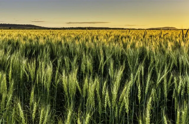 Co musíte ráno vědět (18.|března 2022)