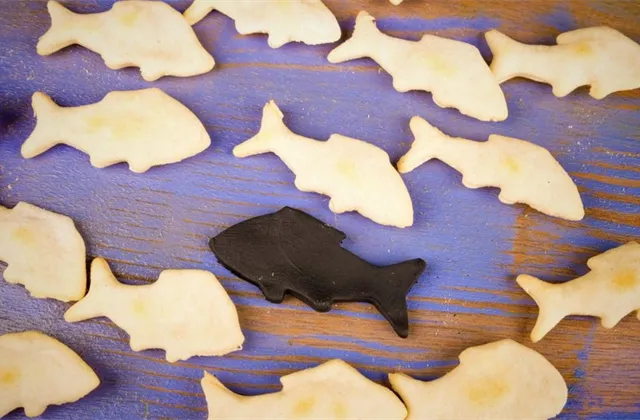 Kontrariánem podle časopisů? Pozor, ne vždy se obálky pletou