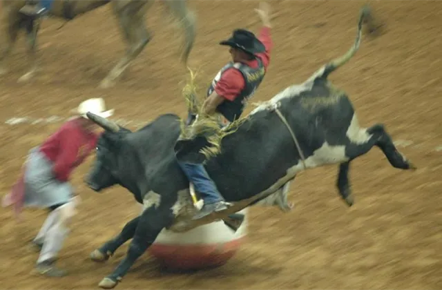 Americká nezaměstnanost je na předpandemické úrovni. Bohužel, povzdechne si akciový býk