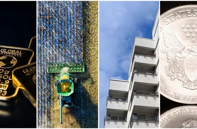 Dupaj (Numizmatika MD) a Rohan (ARTEFIN): Umění nebo mince pomohou s diverzifikací portfolia. Investoři ale musí stejně jako u jiných aktiv rozumět tomu, co kupují